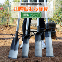 Thickened manganese steel tree shovel seedling outdoor root garden tool Luoyang digging earth ditch artifact shovel farming