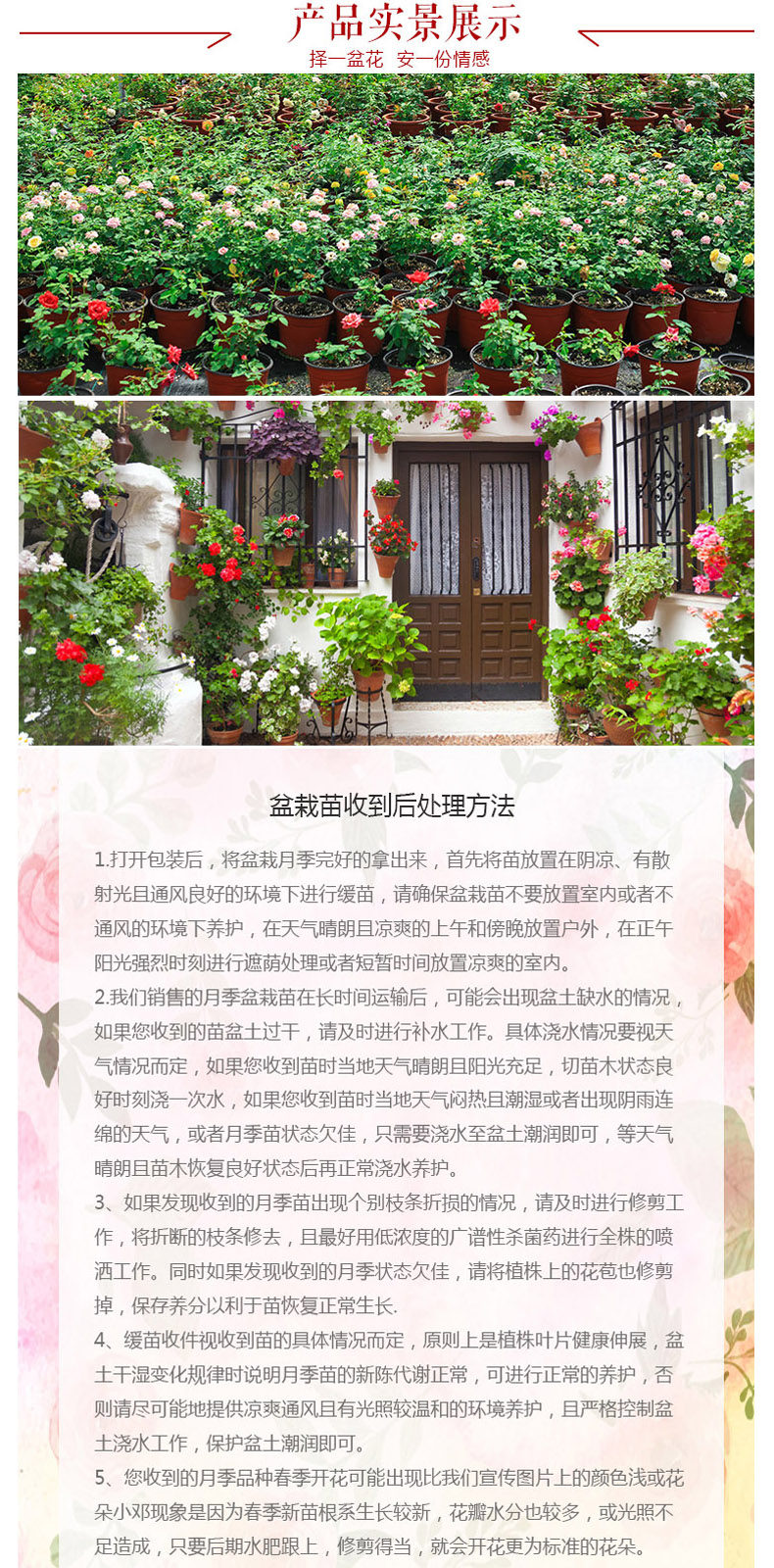 Индивидуальный 20171019