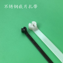 Nylon insert cable tie stainless steel buckle tie marine cable tie metal buckle tie black and white