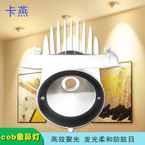 Kayan LED Weevil lamp cob embedded telescopic spotlight universal adjustable ceiling lamp Black bulls eye lamp direct sales