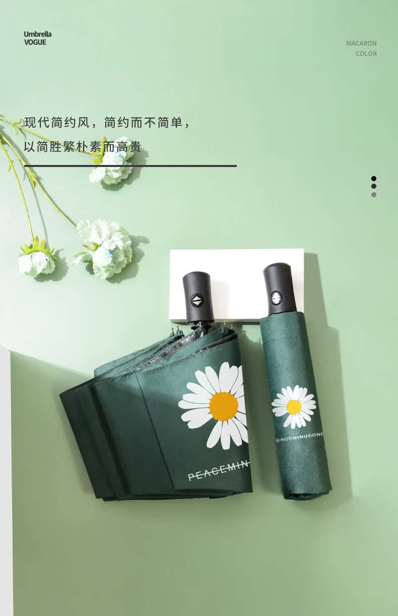 小雏菊自动_10.jpg