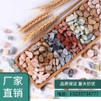 Inner Mongolia washed rice stone terrazzo gravel particles adhesive stone washed stone paving stone washed stone ground gravel aggregate