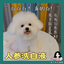 In the lower pill PLUSH PUPPY Pet Dog bathing emulsion with ginseng whitening hair washing fluid