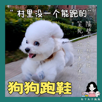 In the lower meatballs Fokwow pooch shoes small dog teddy bib bear boombe soft bottom to fall out of the air