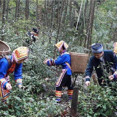九哥皮肤草堂