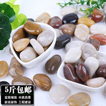 (Five Jin) Pebbles Yuhua Stone Raw Stone Natural Clearance Fish Tank Landscape Garden Flower Pave Pavement
