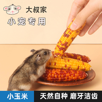 Hamster grinding tooth stick snacks small jade rice core stick grain nutrient gold silk bear rabbit supplies flower brood guinea guinea pig