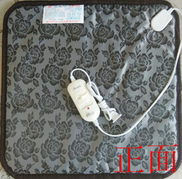 Long Win Waterproof Wear Resistance Heating Pad Electric Carpet Pet Advanced Heating Pad C-