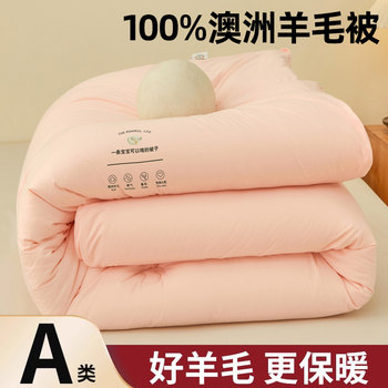 Thickened Warm Wool Quilt 100% Australian Pure Wool Quilt Winter Quilt Core Cotton Quilt Spring and Autumn Quilt Home Use Imported Cashmere