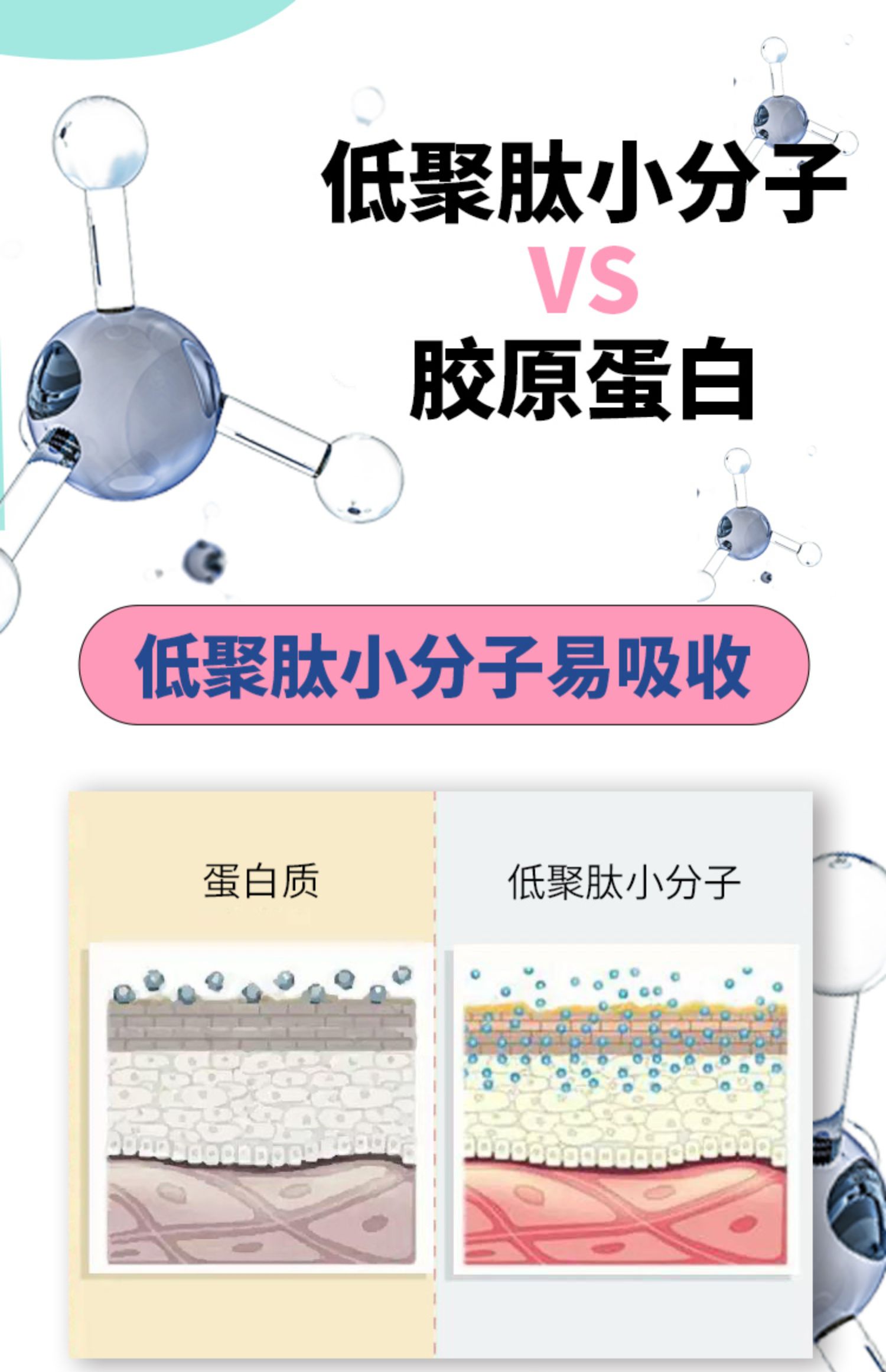 低聚木糖果蔬咀嚼片60片