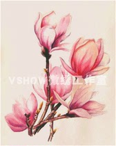 VSHOW microembroidery kit -VS17025 powder Yulan fine matching material DMC embroidery line 25CT marking cloth]