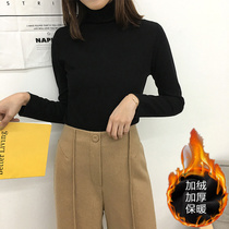 High collar base shirt women cotton long sleeve slim 2019 autumn and winter new solid color tight T-shirt Joker interior top