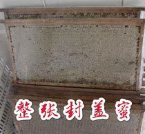 The whole piece of the new hive honey old hive honey each 7-9kg live room can choose to send a spoon