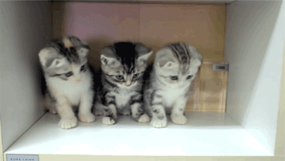 湯匙在牆上刮擦 刮出後網友驚爲天人 淘寶海外