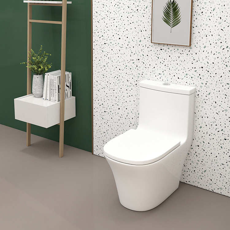 Olusha toilet toilet siphon household small-sized ceramic deodorant flush toilet dressing room toilet