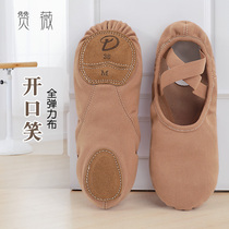 Dance shoes for women fully elastic cloth soft-soled shoes practice shoes lace-free professional ballet Chinese dance shoes
