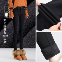 Extended leggings women wear spring and Autumn thin section 175 high super long black small feet high waist pants women pencil pants