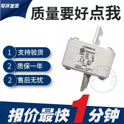 New 170M6017 170M6018 170M6019 170M6020 Basman Low Voltage Fast Fuse