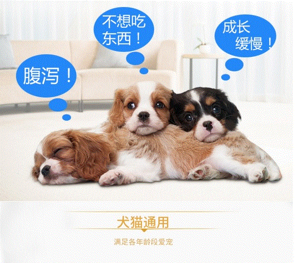 Sản phẩm sức khỏe Sản phẩm dinh dưỡng chăm sóc thú cưng sữa mèo