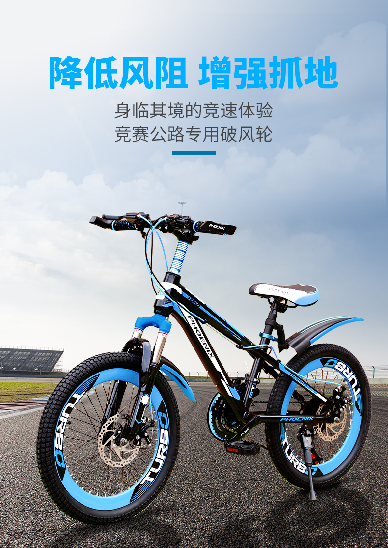 凤凰牌 自行车/山地车 18-22寸 图4