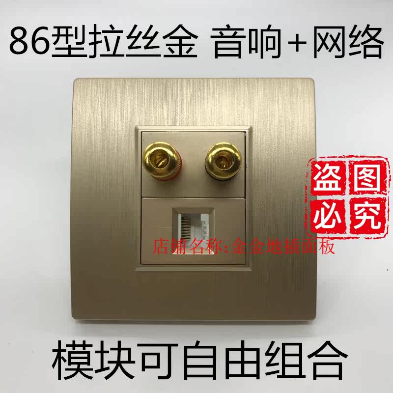 Wire Drawing Gold Sound Internet Socket Wall Insert Panel 86 Type 2 Heads Speaker Horn Line Internet Interface Two Combo Panels
