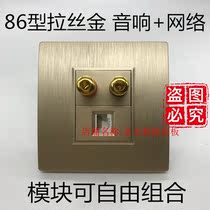 Wire Drawing Gold Sound Network Socket Wall Intercalation Panel 86 Type 2 Heads Speaker Horn Wire port Two combined panels