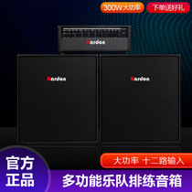 kardon Caton 300W band rehearsal speaker bass keyboard performance multifunctional split electric guitar audio