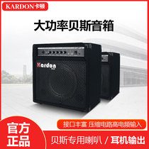 kardon Carton electric bass speaker bass special practice band rehearsal guitar playing singing with compression audio