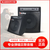 kardon Carton electric bass speaker performance bass special band rehearsal guitar playing singing audio band compression