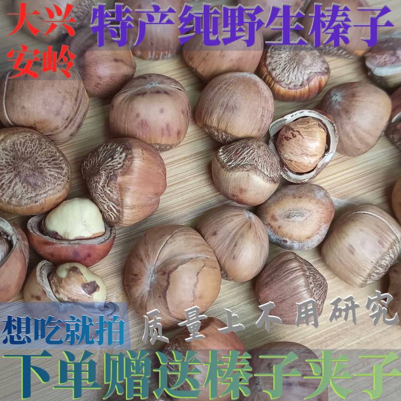 Northeast Terrific dried fruit New cargo hazelnut fresh hazelnut specie in wild hazelnut zhenia nut great Xing'an Ridge hazelnut-Taobao