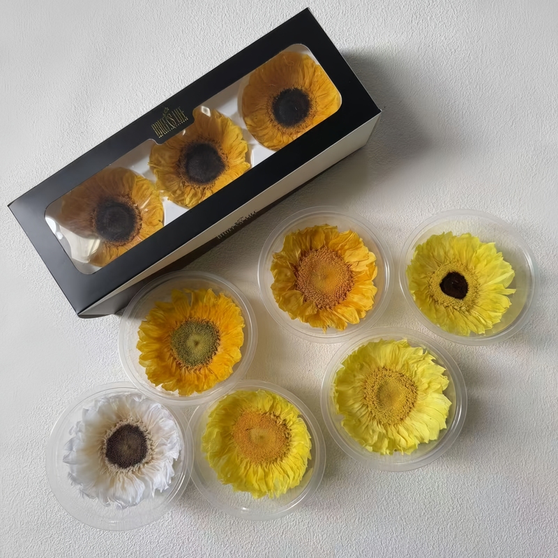 Preserved Sunflower Sun Flower Yellow Orange Dried Flower Handmade Floral Art Acrylic Flower Box Materials