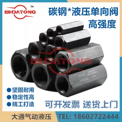High pressure hydraulic check valve straight pipe check valve CIT-0203040608 A DIF