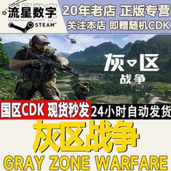 Steam Genuine Chinese Region Key Gray Zone Warfare Activation Code Cdkey in Stock