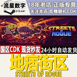 Steam подлинный пиратский сосед