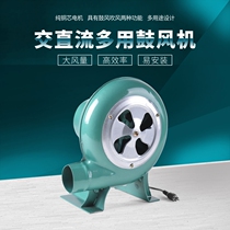 Xinlong 12V blower 220V household speed blower barbecue popcorn egg aberdeen battery fan