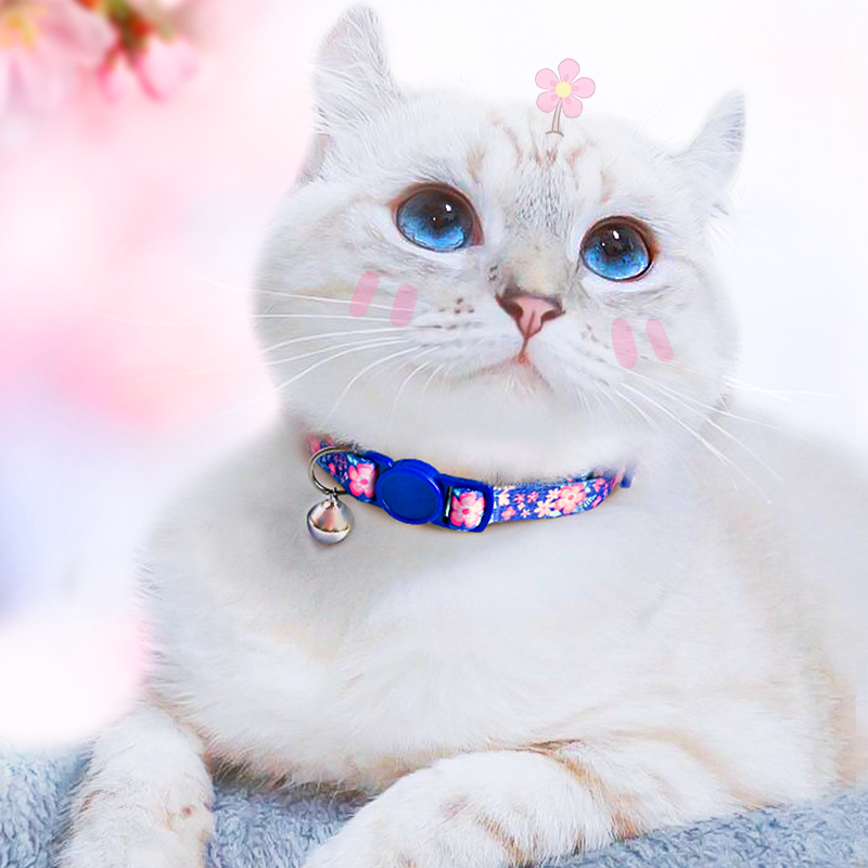 Kitty lettering bell Item Circle anti-loss hanging tag Tide Cards Teddy Small Dogs Necklace necklace with neck ornaments