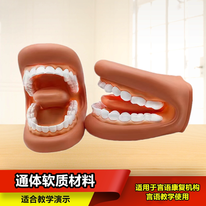 牙齿模型口腔教学牙科仿真教具幼儿园护理学刷牙医学儿童发音演示