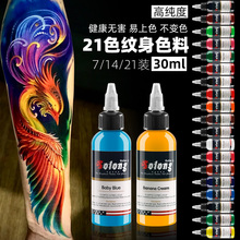16 Colors Embroidered Dragon New Tattoo Color Material Professional 21 Color Tattoo Paint Black Tattoo Ink Set Tattoo Equipment