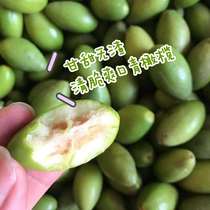 Chaoshans own planting picking No. 2 sweet green olives raw to eat sweet and scum-free pregnant womens fruit 1kg