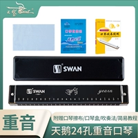 24 отверстия чернила и черное младшее исследование c tu yinkou violp+подарок