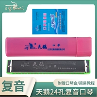 24 Kong Chu xuexue c Ресценатная порошковая коробка+подарок