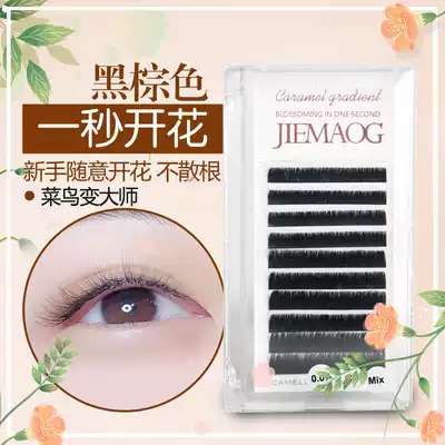 Dark caramel black brown magnetic Kaishan camellia mink hair grafting planting false eyelashes Natural makeup nude makeup mixed