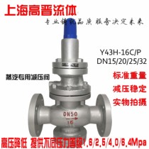 Steam pressure reducing valve Pilot Y43H dynamic pressure reducing flange Steam pressure reducing valve DN25 32 40 50 65