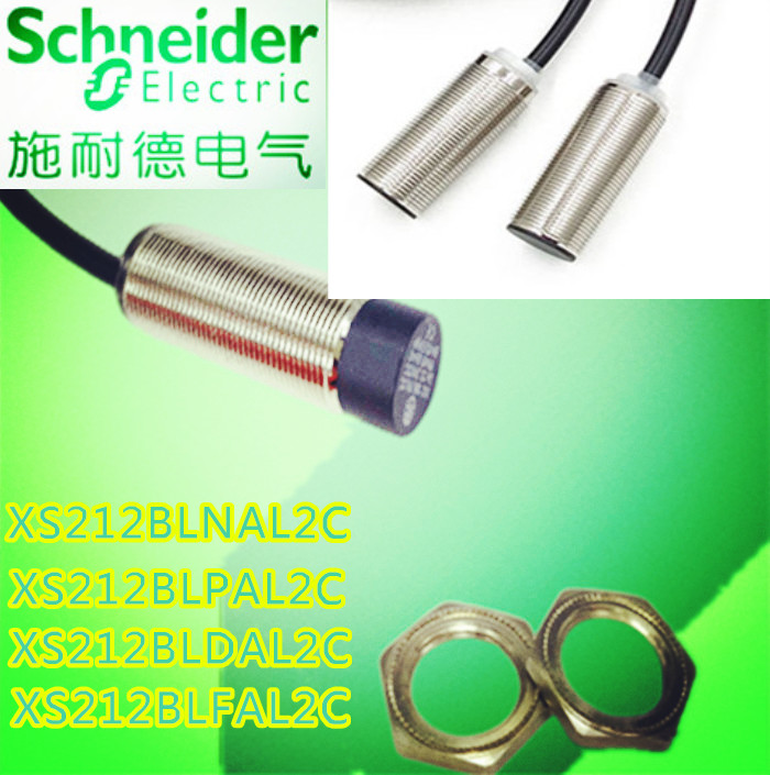 The Schneider is close to the switch XS230BLPAL2C