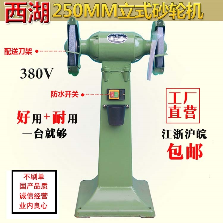 West Lake 250mm National standard electric vertical floor grinder grinding and polishing machine M3025 three-phase grinder