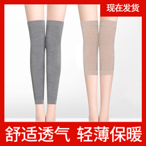 Self-warming kneecap fever old chill leg ladies joint hot compress leg warm knee jacket theorizer anti-cold old special