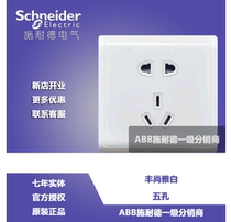 Schneider switch Fengshan Yahweh Two - Three - plug Five - hole socket Wall Power Supply 10A Featured White Five - hole
