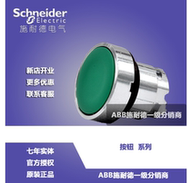  (Original)Schneider green flat head button head ZB2BA3C