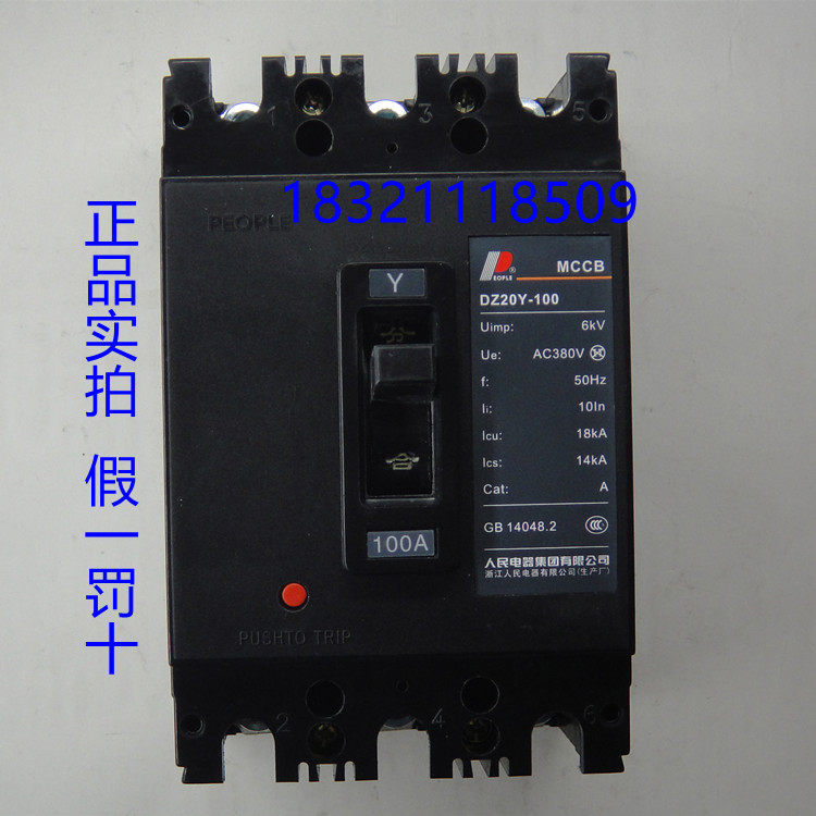 People Electric Appliances Group Plastic housing Type breaker DZ20Y-100 225400630 3300 100A