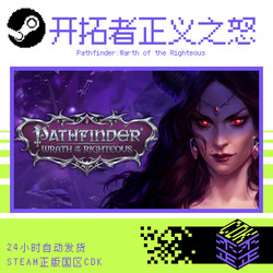 Steam Genuine Product, China Region Cdk, Wrath of the Righteous in Stock